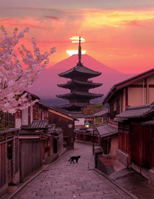 THE CAT AT YASAKA PAGODA