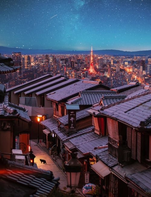 THE CAT IN GION