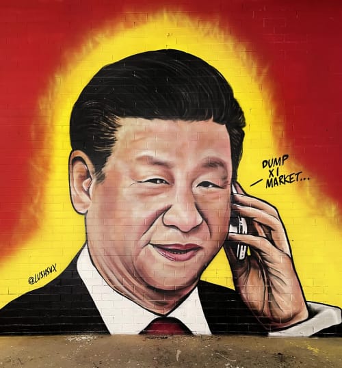 Dump Xi market
