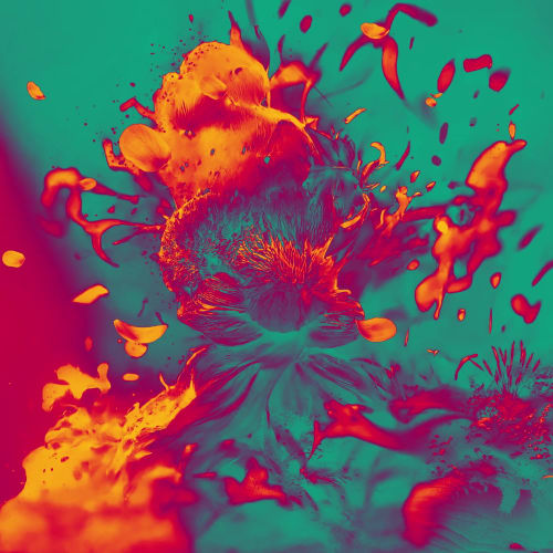 INk BLOOM II