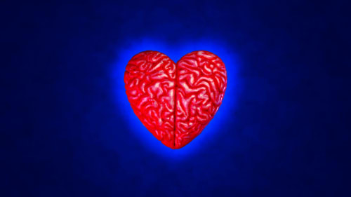 Brain Heart