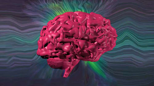Sex Brain