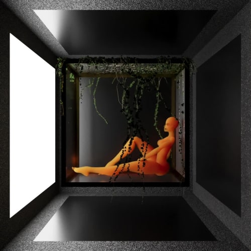 Orange Xray