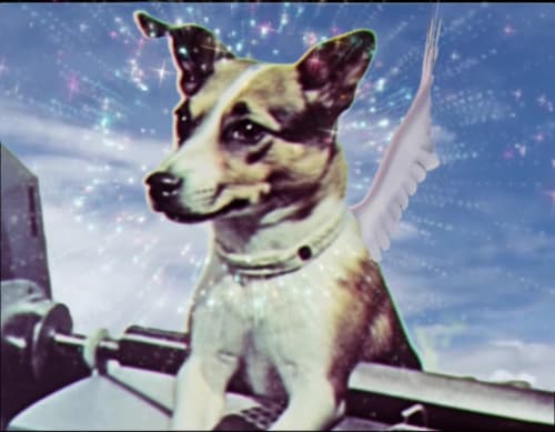 Legendary Laika