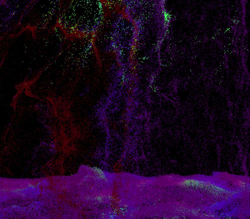 Color Deep