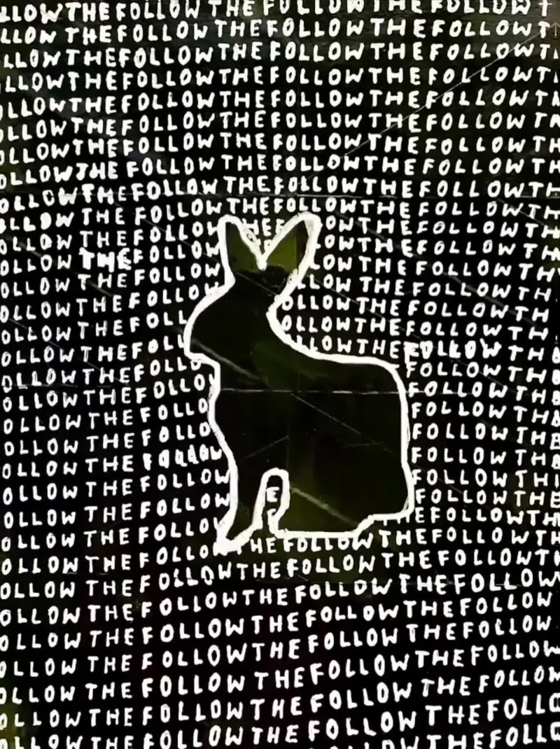 Follow The White Rabbit #37/44