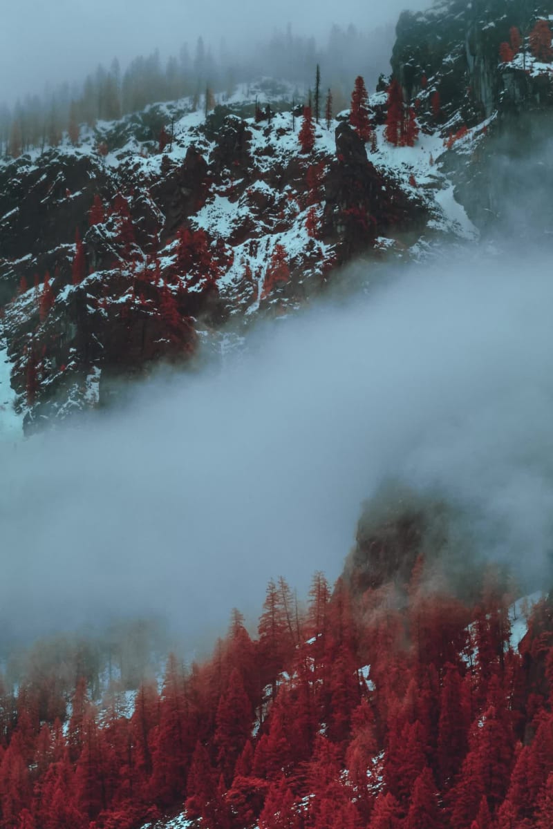 InfraMunk tempus VL 21