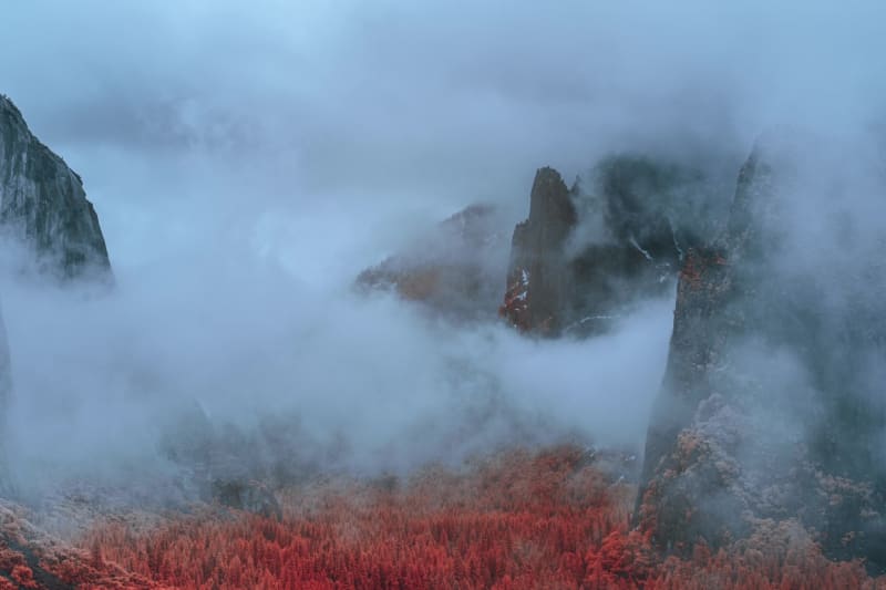 InfraMunk tempus YS 21