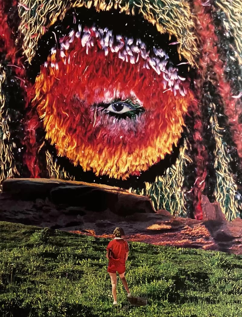 Self-Reflection Cosmos