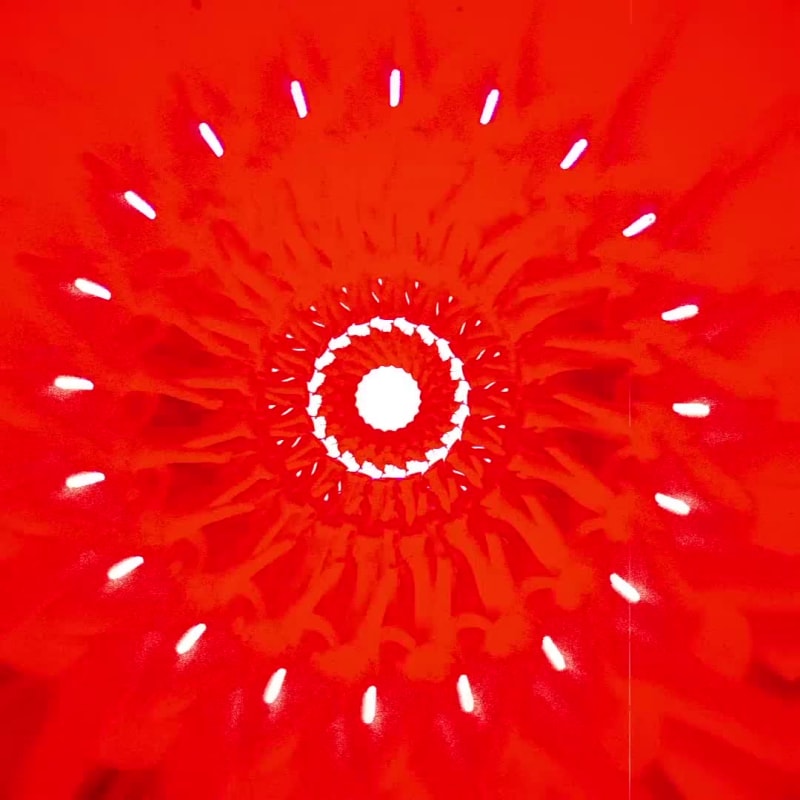 Seven Nation Army Remix 001