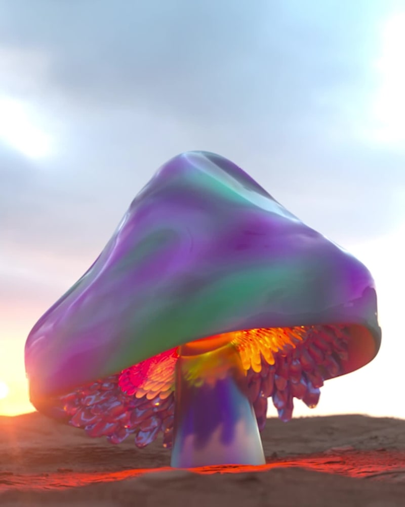 The Universal Veil