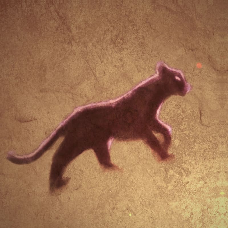 Unleashed #3/290