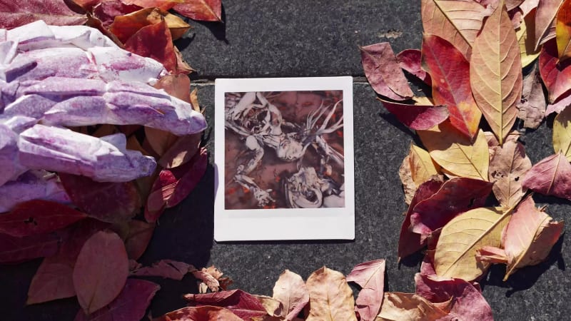 We are no longer here