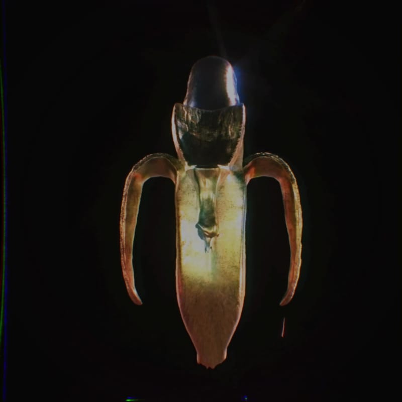  'Banalien' 