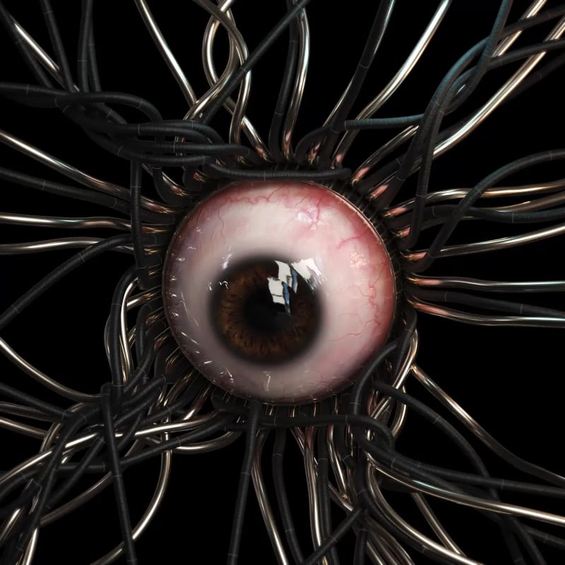 Metal Eye