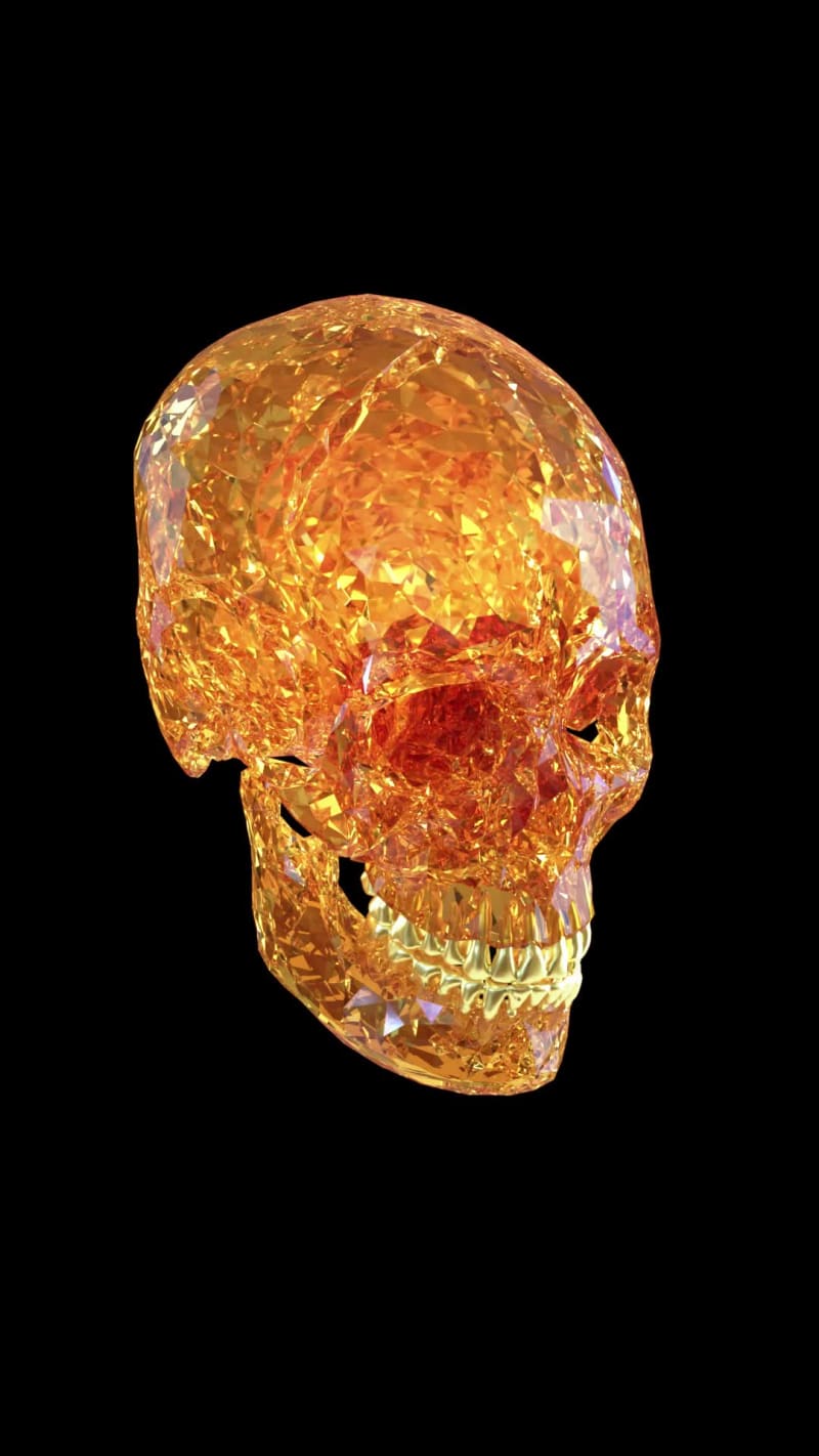Skull 04
