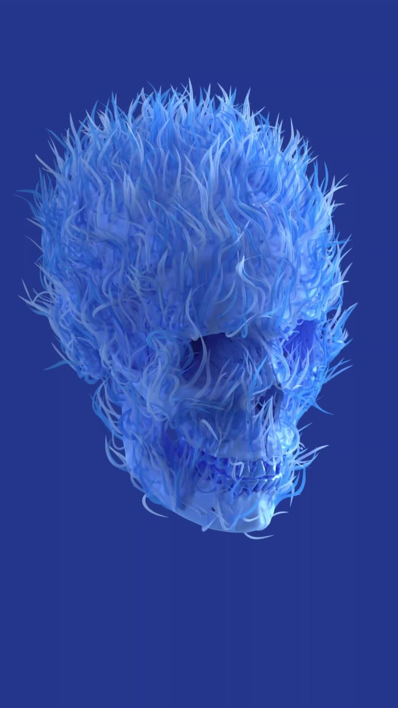 Skull 09 #2/15