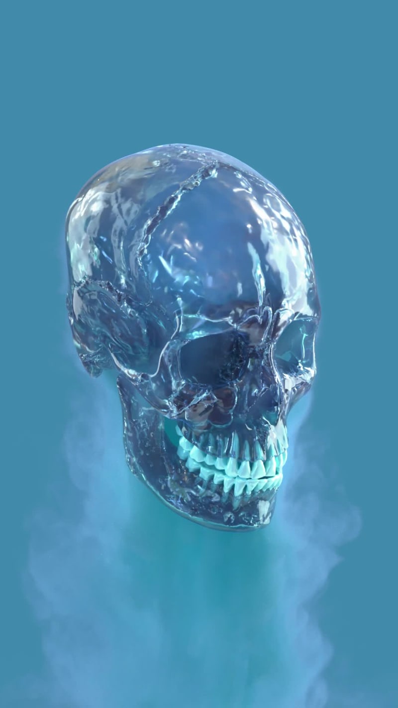 Skull 07