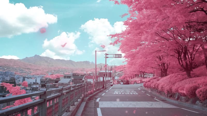 Pink and Blue
