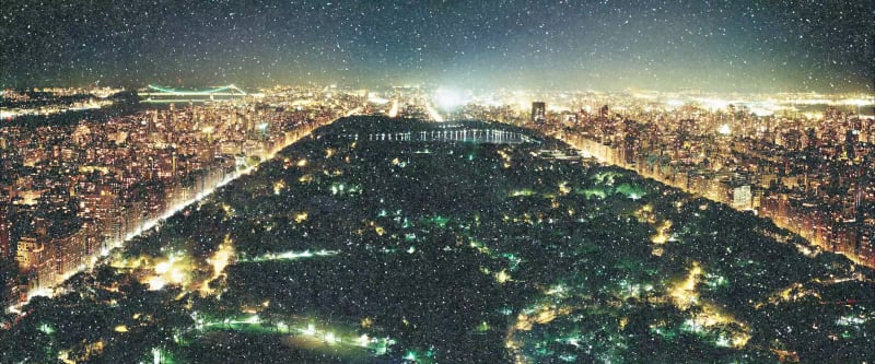 'CENTRAL PARK' DIAMOND DUST DIGITAL