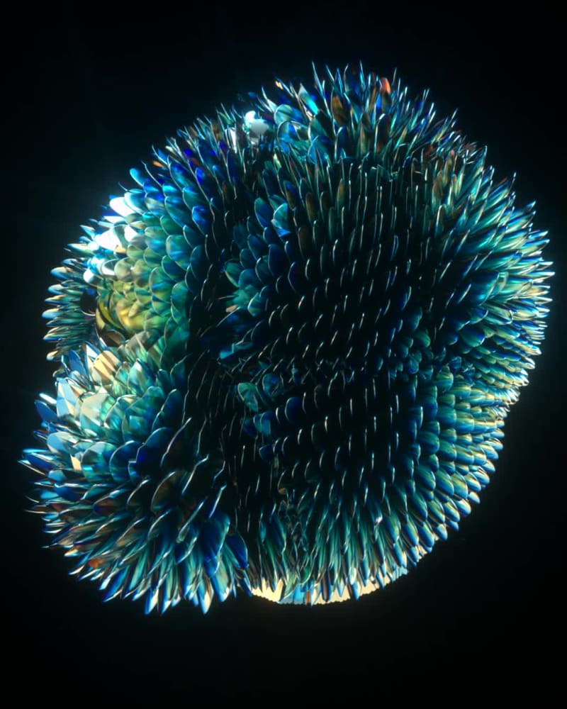 CYANOBIONTS// #16/20