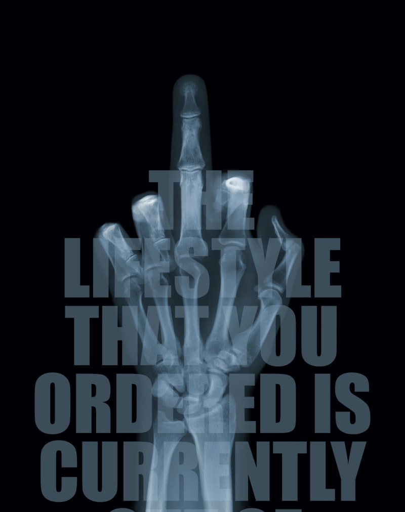 The Lifestyle Finger #22/25