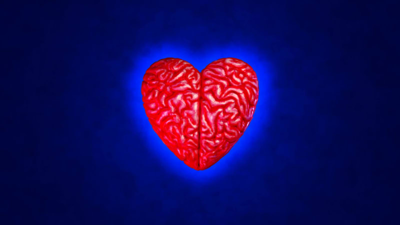 Brain Heart #26/63