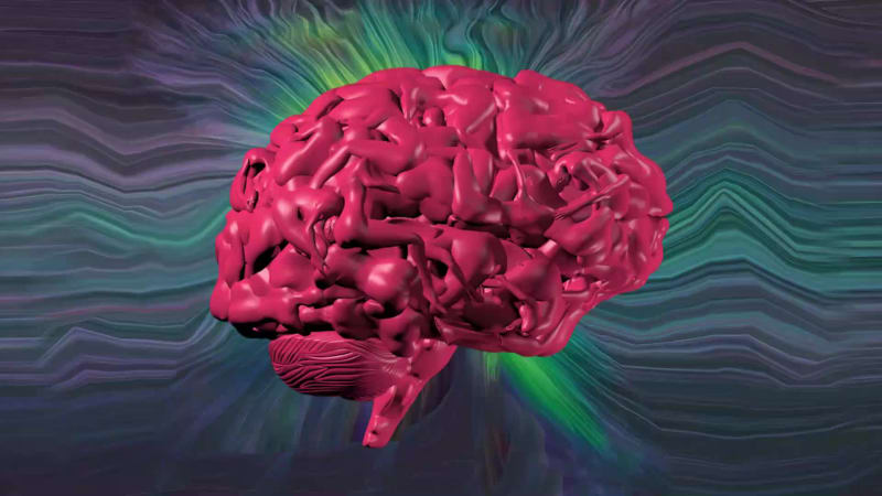 Sex Brain #335/368