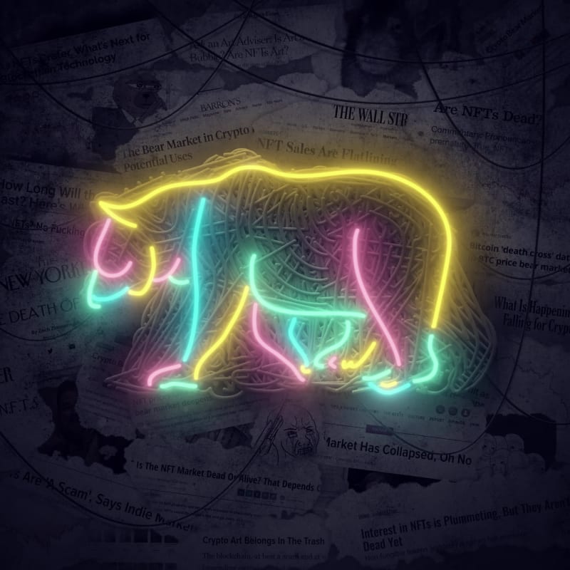 Bear #12/79