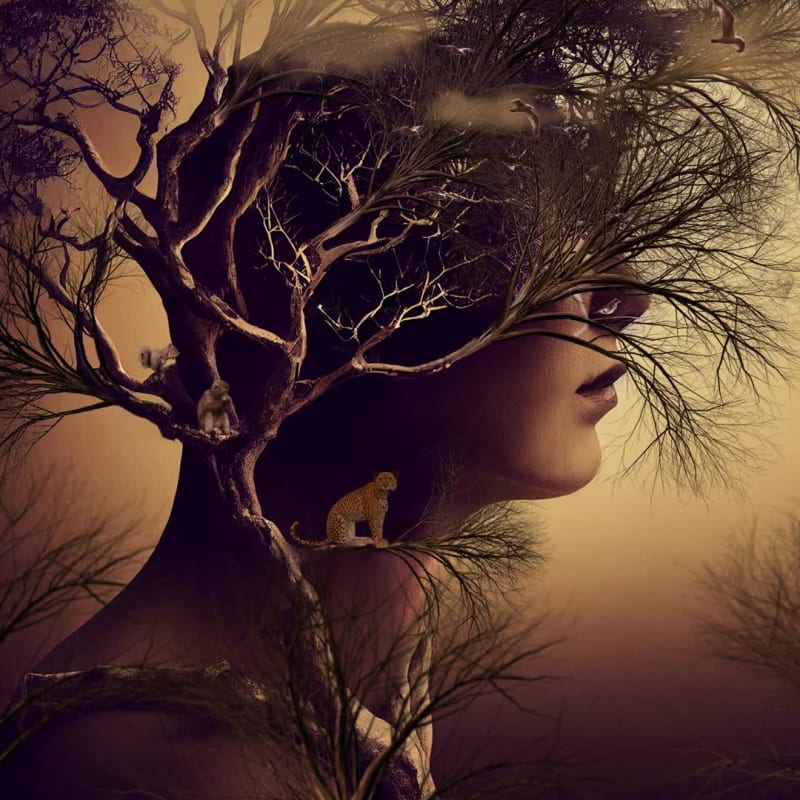 TEARS of NATURE