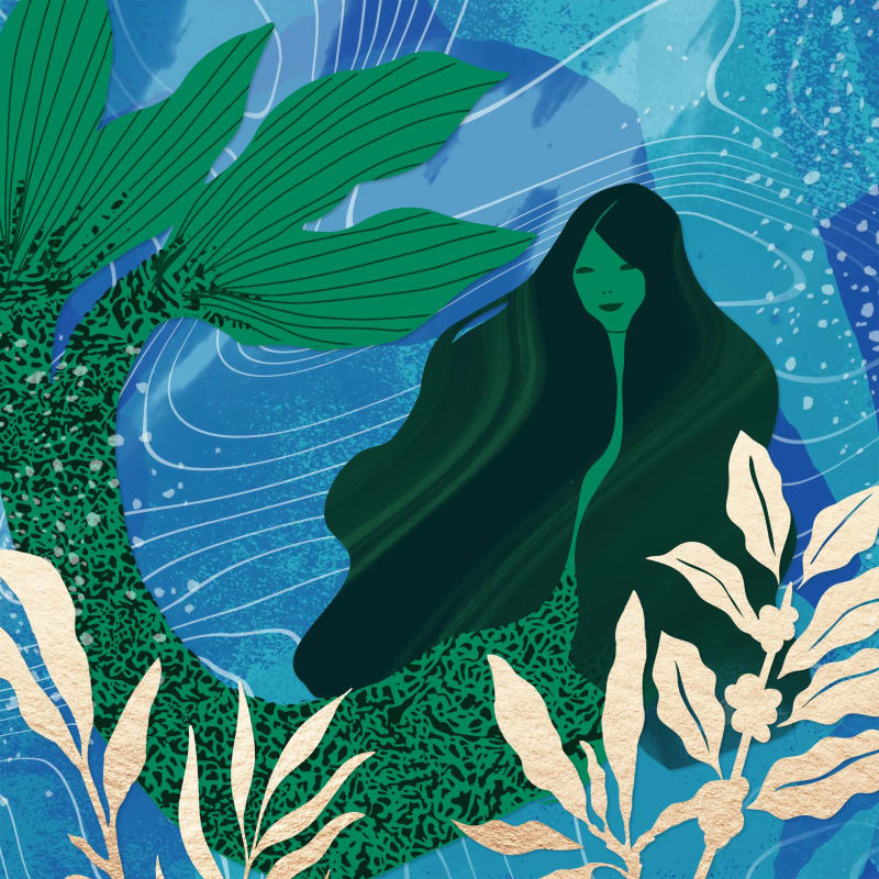 The Starbucks Siren Collection #1440