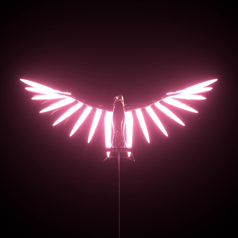 Chapter 1: Red Kite I #1/1