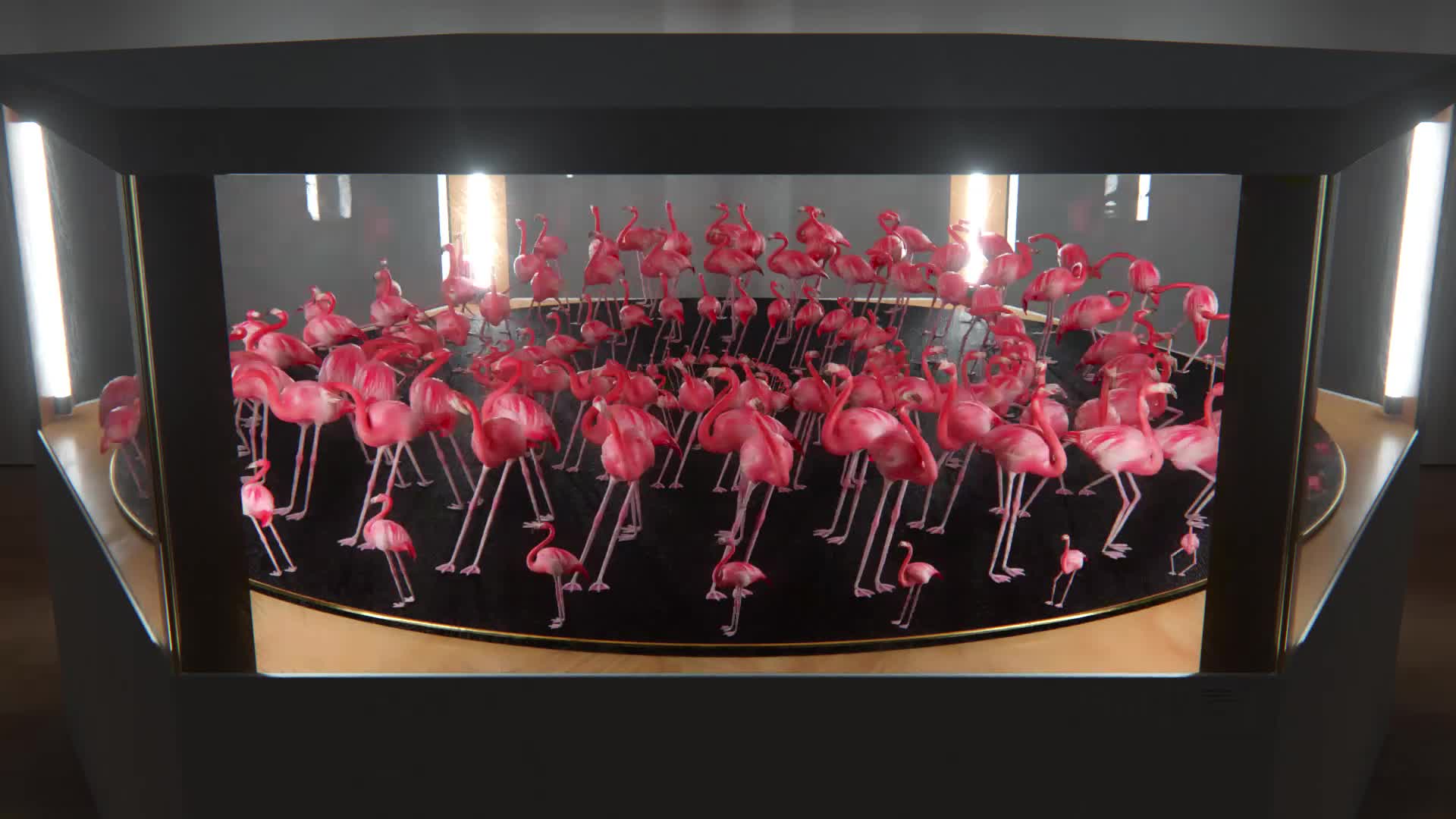 Zoetrope Installation