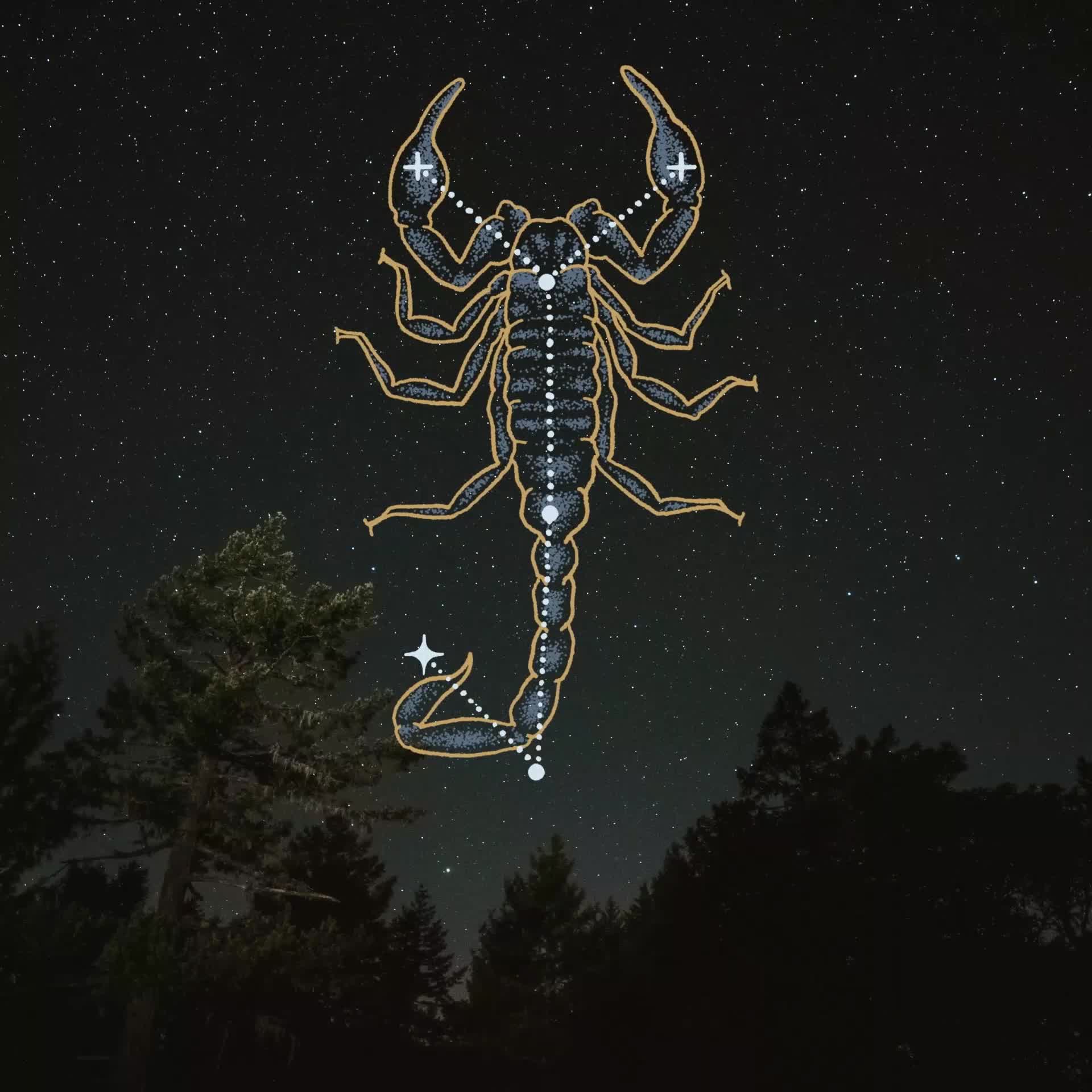 Scorpion #16/75