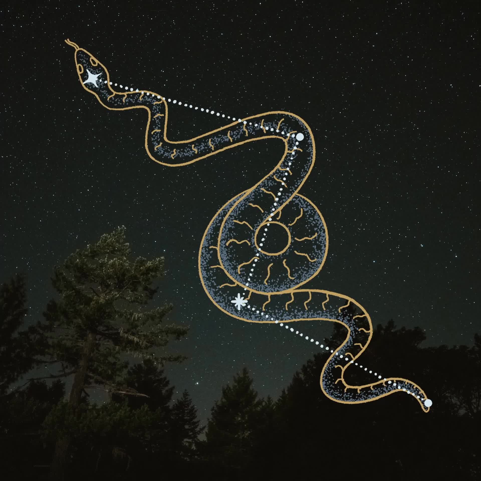 Serpent #11/140