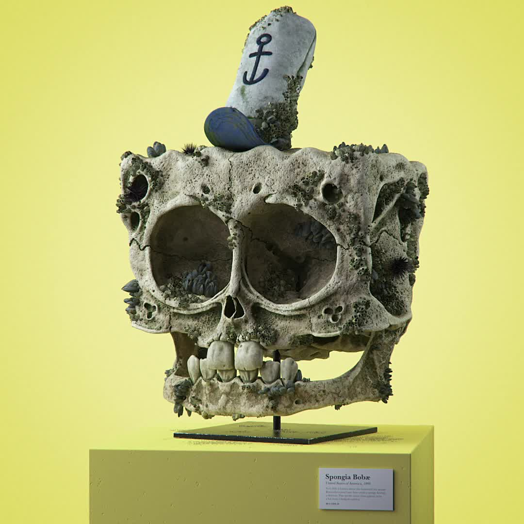 Spongia Bobaæ #46/82