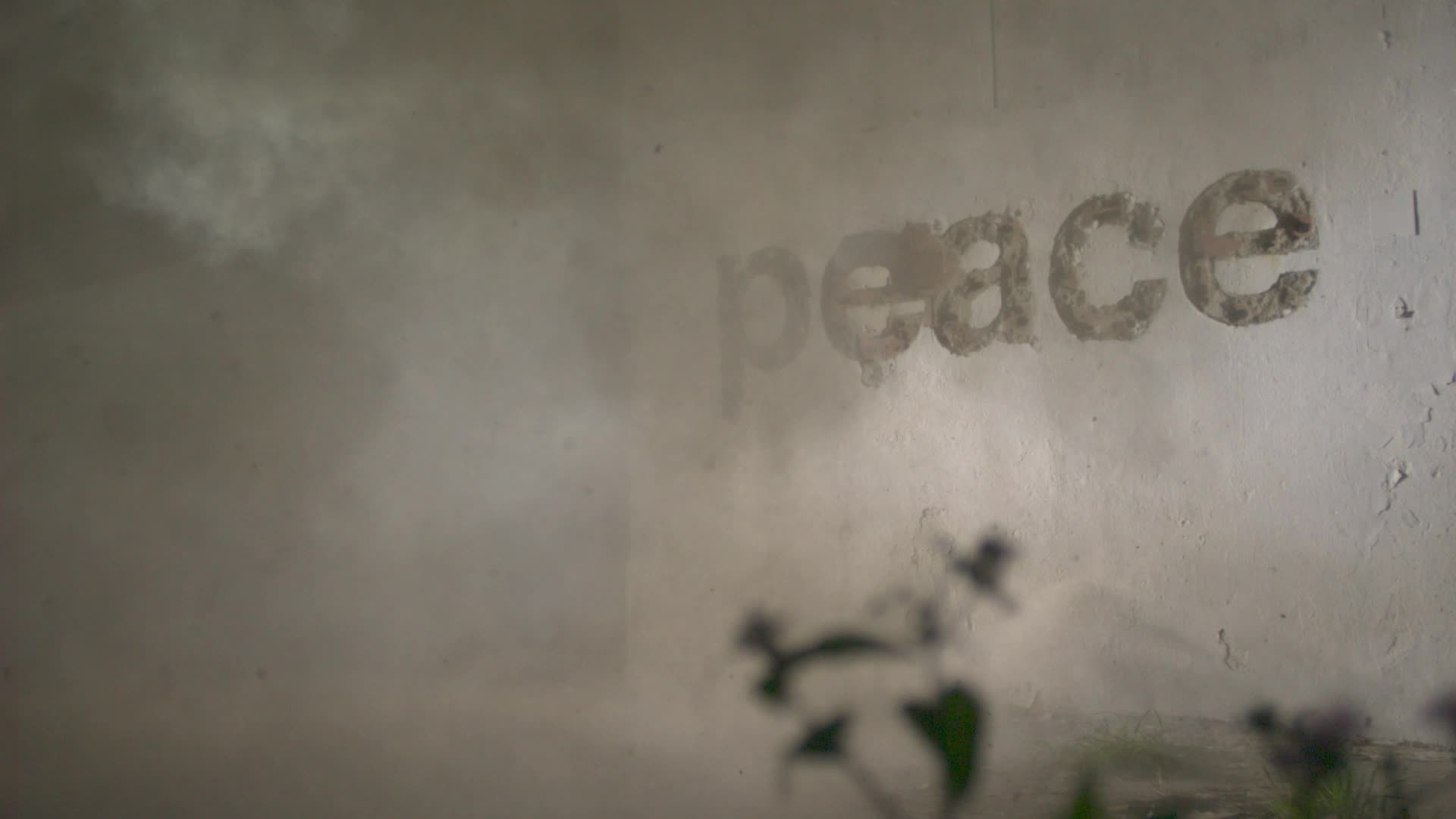 PEACE #88/193