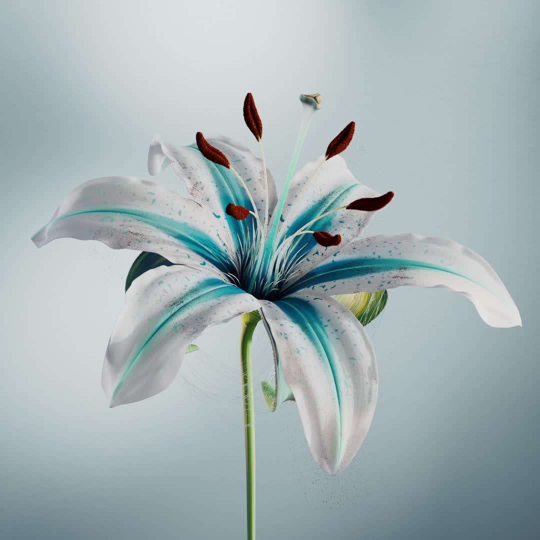 BLOOM-CALLAIS