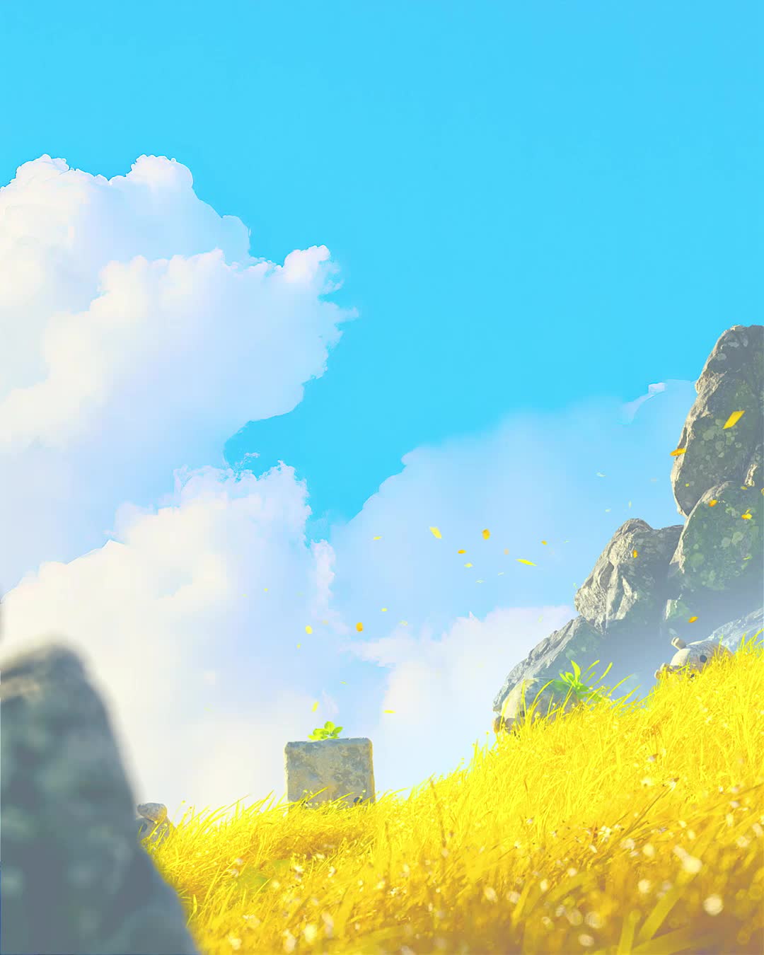 THE GOLDEN VALLEY