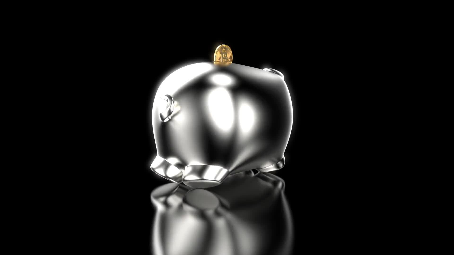 Silver Piggy